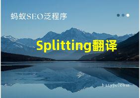 Splitting翻译