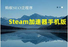 Steam加速器手机版