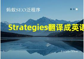 Strategies翻译成英语