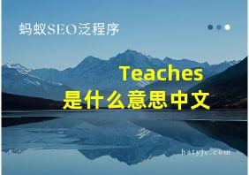 Teaches是什么意思中文