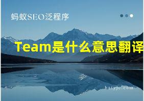 Team是什么意思翻译