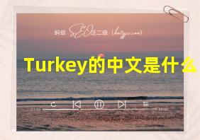 Turkey的中文是什么