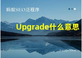 Upgrade什么意思