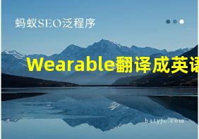 Wearable翻译成英语