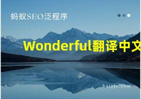 Wonderful翻译中文