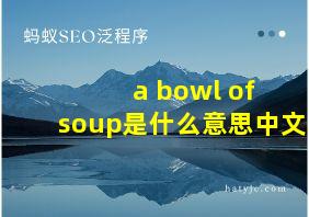 a bowl of soup是什么意思中文