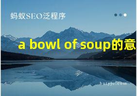 a bowl of soup的意思