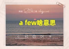 a few啥意思