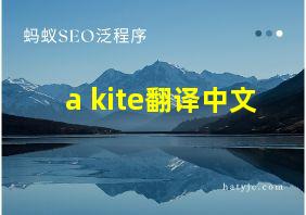 a kite翻译中文