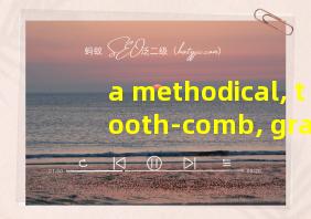 a methodical, tooth-comb, granular approach翻译