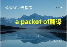 a packet of翻译