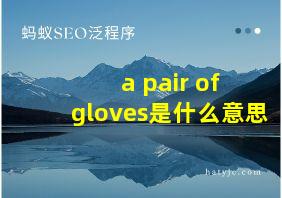 a pair of gloves是什么意思