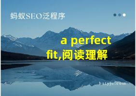 a perfect fit,阅读理解