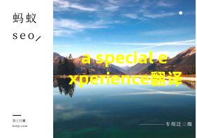 a special experience翻译