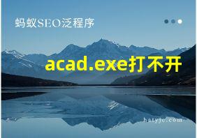 acad.exe打不开