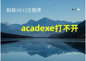 acadexe打不开