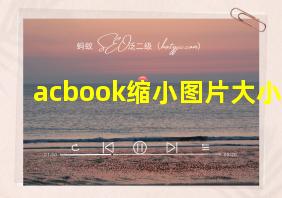 acbook缩小图片大小