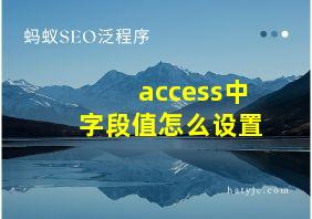 access中字段值怎么设置