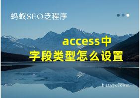 access中字段类型怎么设置