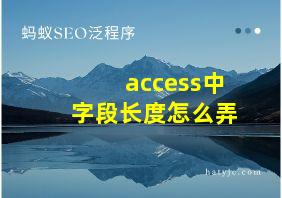 access中字段长度怎么弄