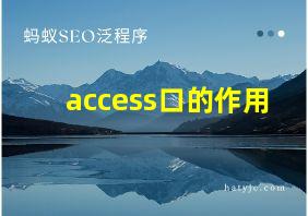 access口的作用