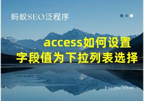 access如何设置字段值为下拉列表选择