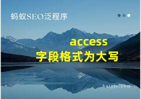 access字段格式为大写