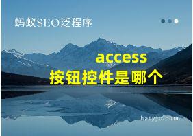 access按钮控件是哪个