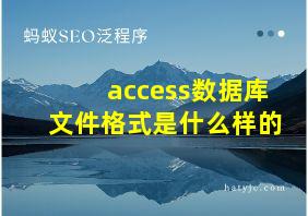 access数据库文件格式是什么样的