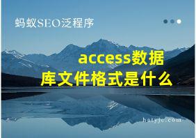 access数据库文件格式是什么