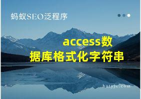 access数据库格式化字符串