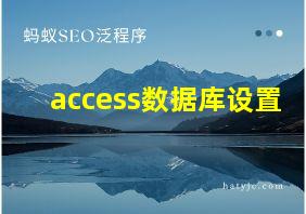 access数据库设置