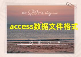 access数据文件格式