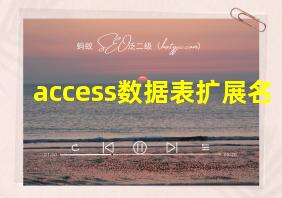 access数据表扩展名