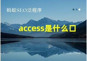 access是什么口