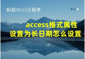 access格式属性设置为长日期怎么设置