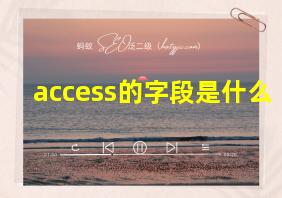 access的字段是什么