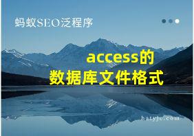 access的数据库文件格式