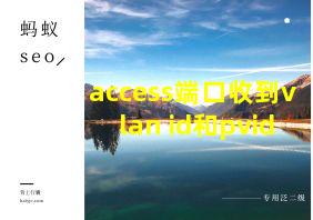 access端口收到vlan id和pvid