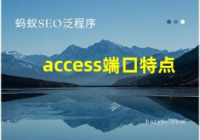 access端口特点