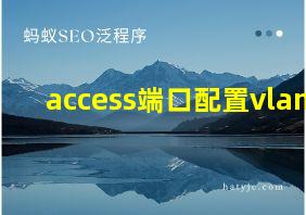 access端口配置vlan