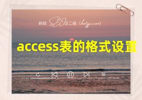 access表的格式设置