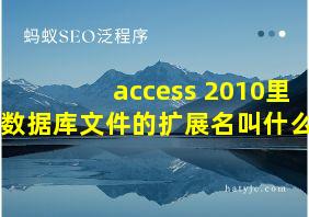 access 2010里数据库文件的扩展名叫什么?