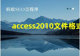 access2010文件格式