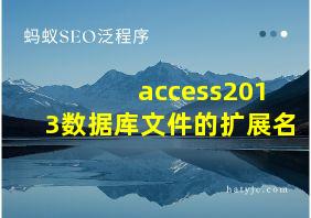 access2013数据库文件的扩展名