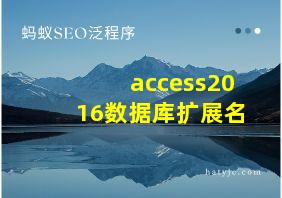 access2016数据库扩展名