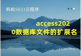 access2020数据库文件的扩展名