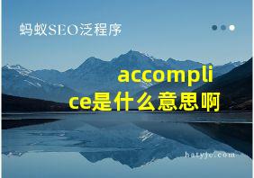 accomplice是什么意思啊