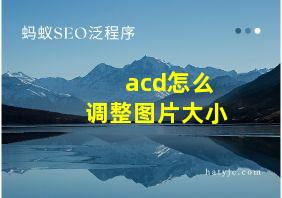 acd怎么调整图片大小