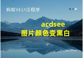 acdsee图片颜色变黑白